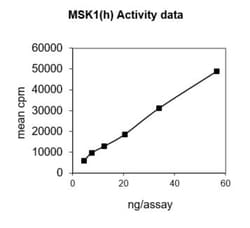 Eurofins DiscoverX MSK1 Protein, Active 250 &mu;g | Buy Online | Eurofins DiscoverX | Fisher Scientific